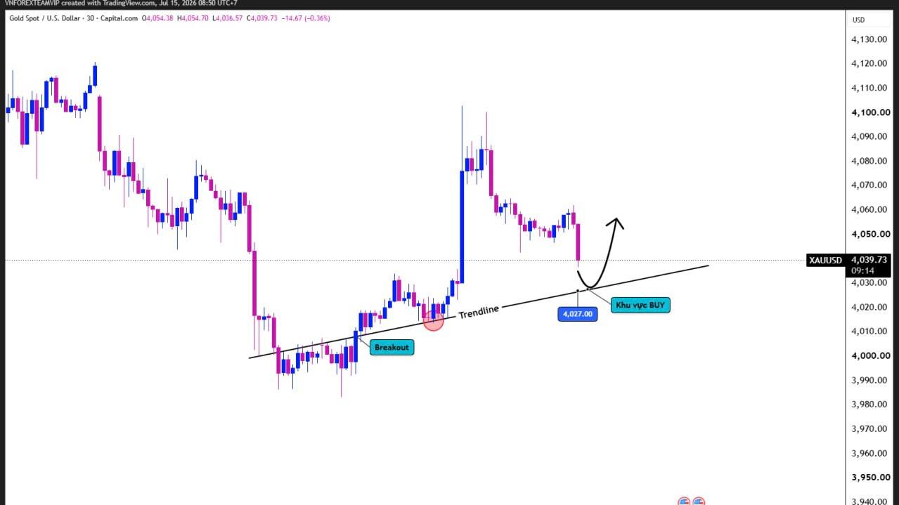 VN Forex Team