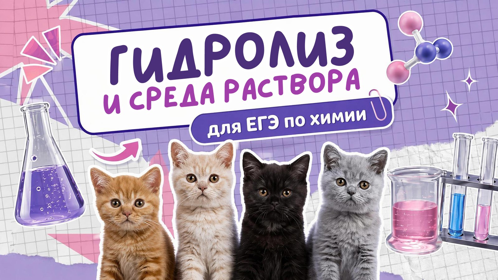 химия и котики / ЕГЭ ОГЭ Стадикэтс