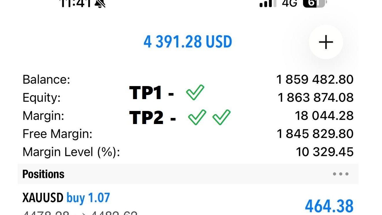 GTMoFx🤴🏽(goldtradermo)