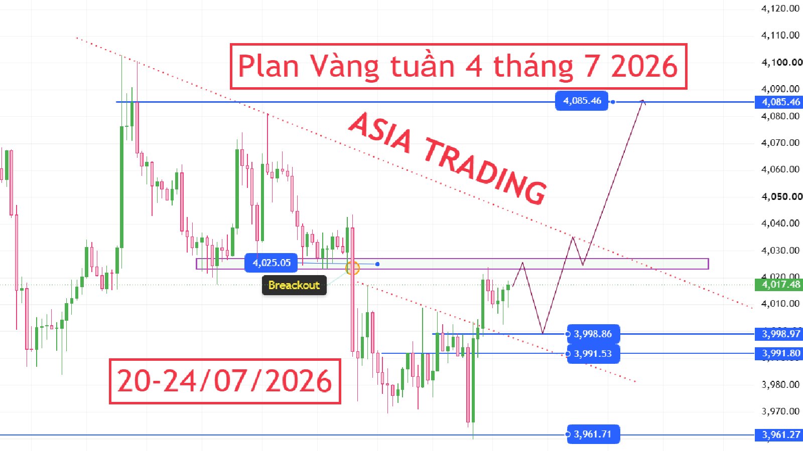 ASIA TRADING - Forex-Gold🇻🇳