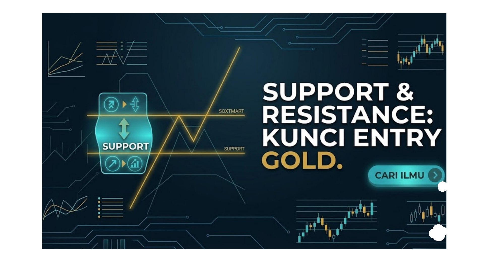 Along Gold Scalper