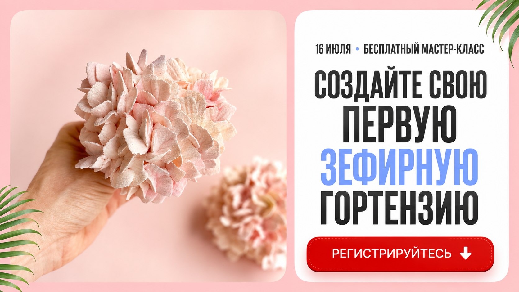 Первая гортензия своими руками