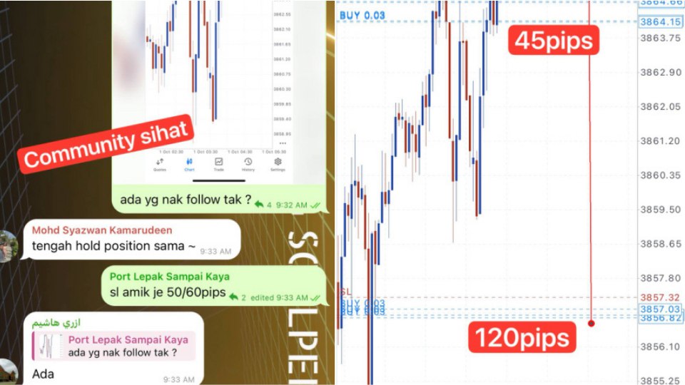 Along Gold Scalper
