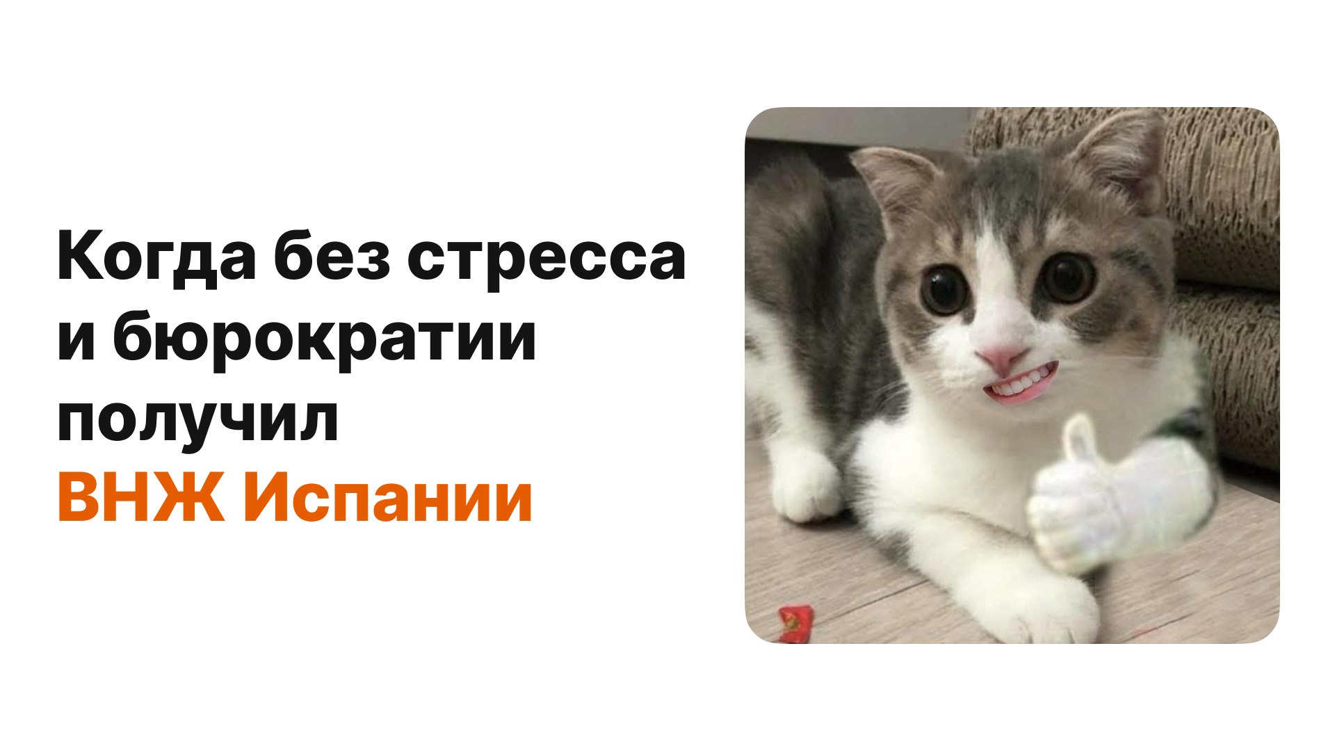Эль Релокатор ВНЖ Digital Nomad/Стартап/Студ.виза