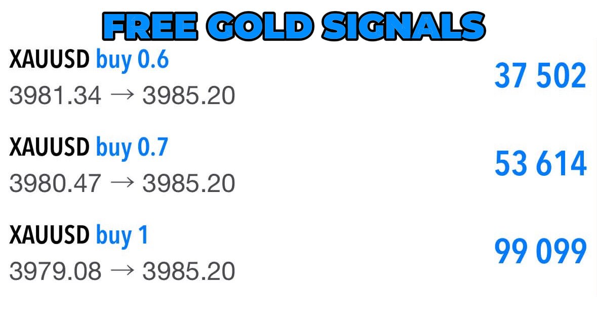 WIRE FOREX 📊