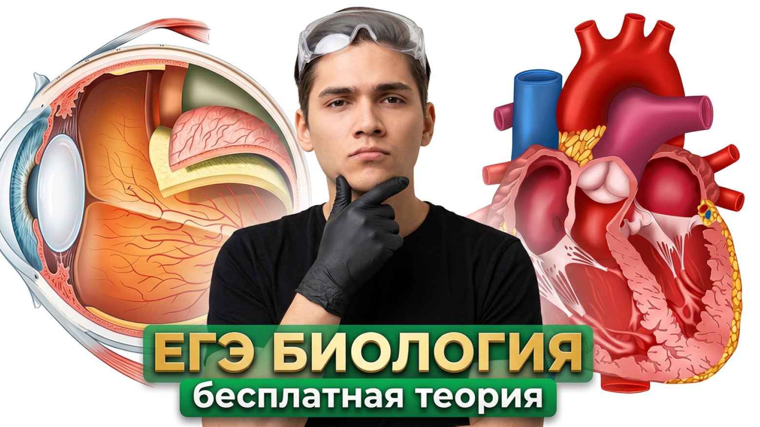 Марк Ламарк | Биология ЕГЭ | 100балльный Репетитор