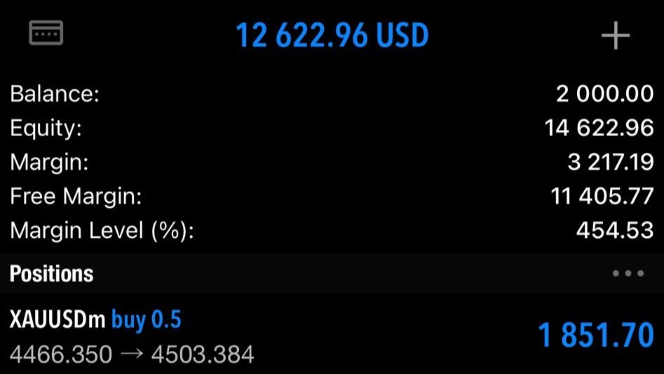 King Of Forex
