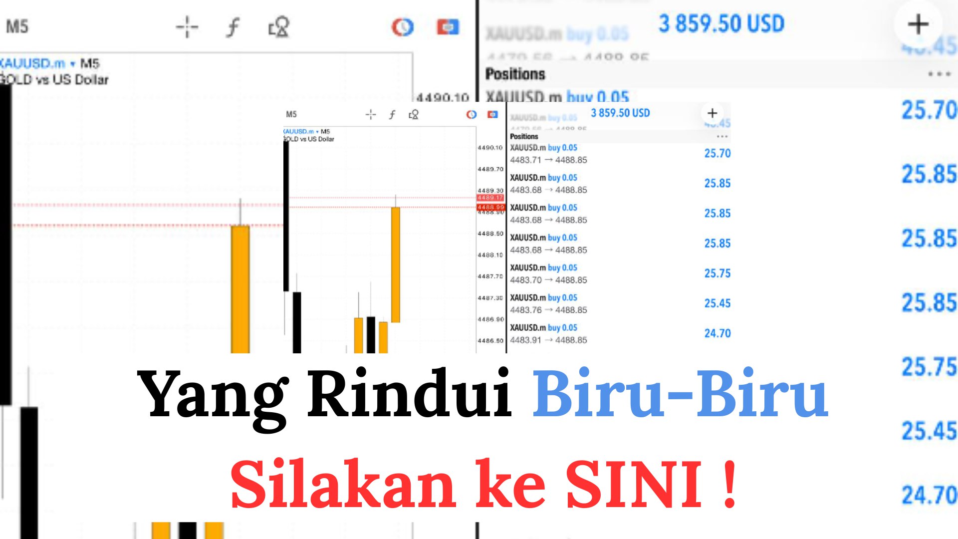 Along Gold Scalper