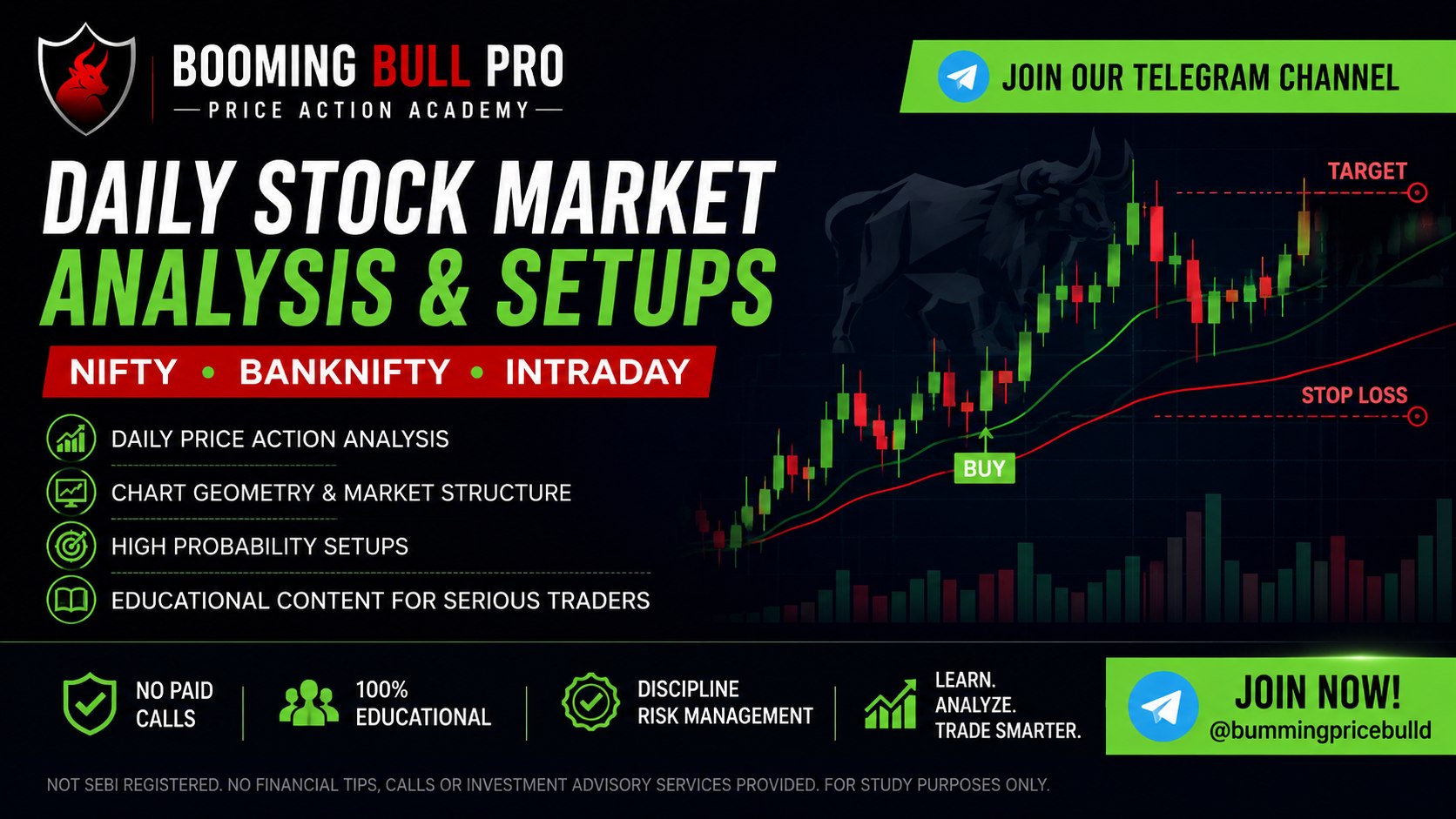 Buming Bull Pro | Price Action · Stock Price Summary Daily