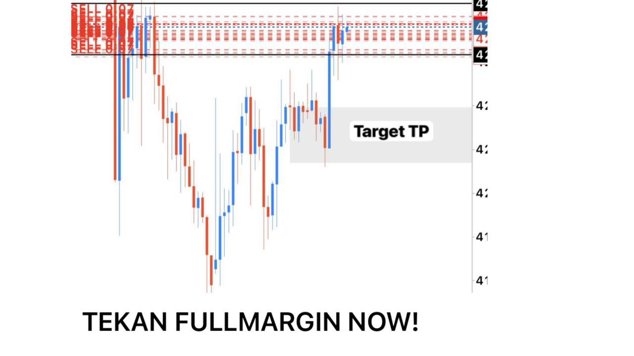 Arep Trader Flip