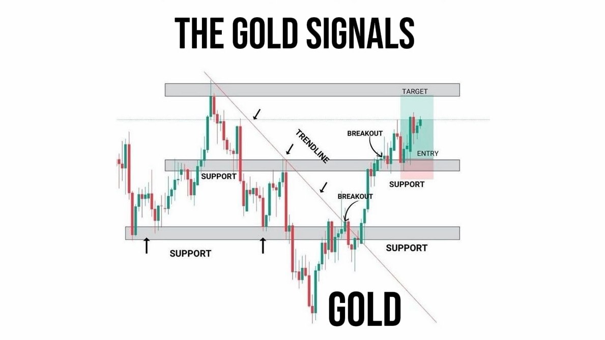 WIRE FOREX 📊