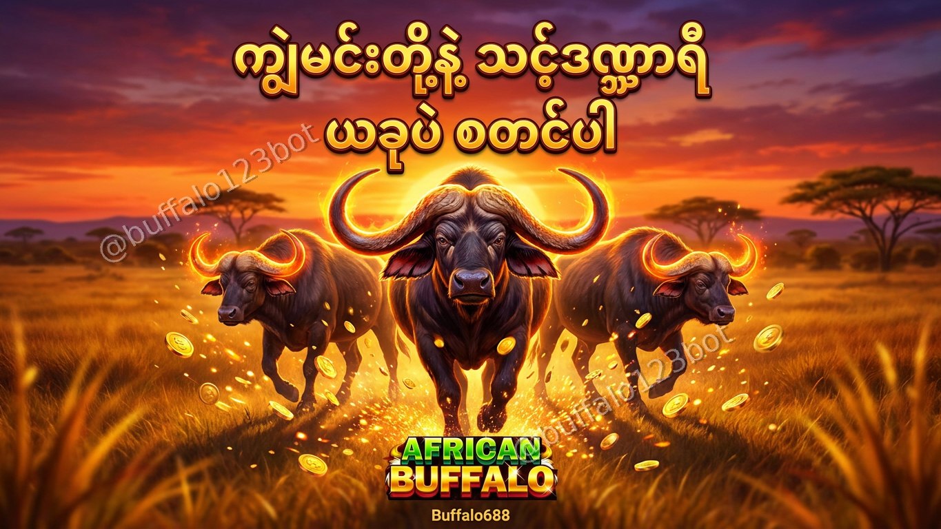 ⏰ ကျွဲဂိမ်း - နော်ဖူးဝေ 24 နာရီဝန်ဆောင်မှု