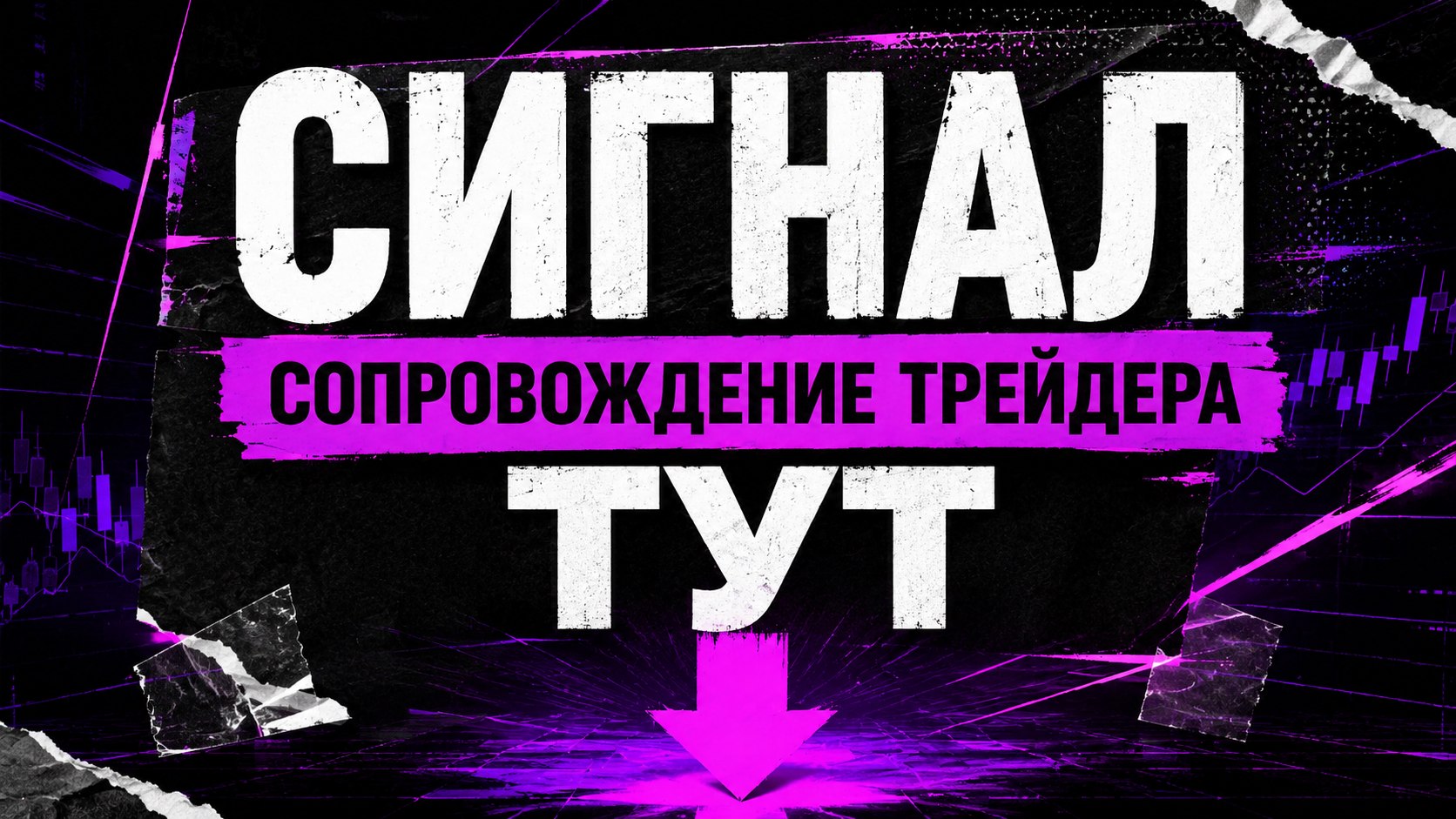 Владислав М.