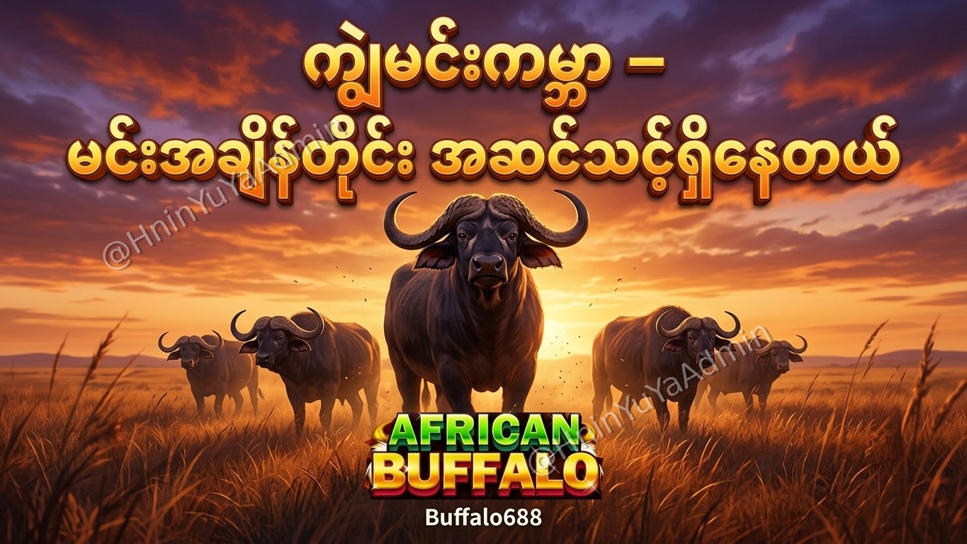 ကျွဲဂိမ်းအစစ် Buffalo688 ၊ကျွဲဘုရင် ၊ရှမ်းကိုးမီး၊ဘူကြီး