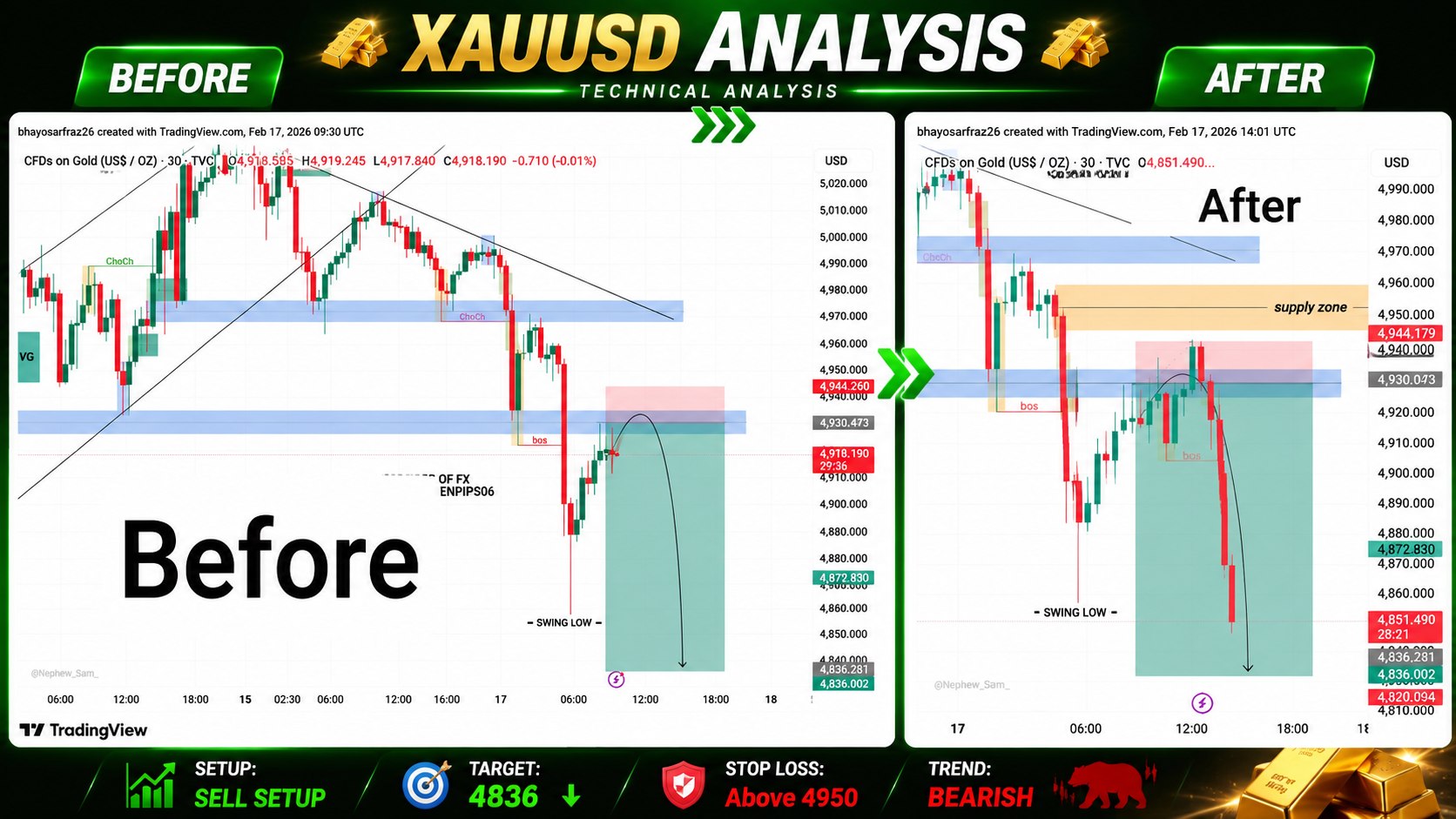Forex pro signals