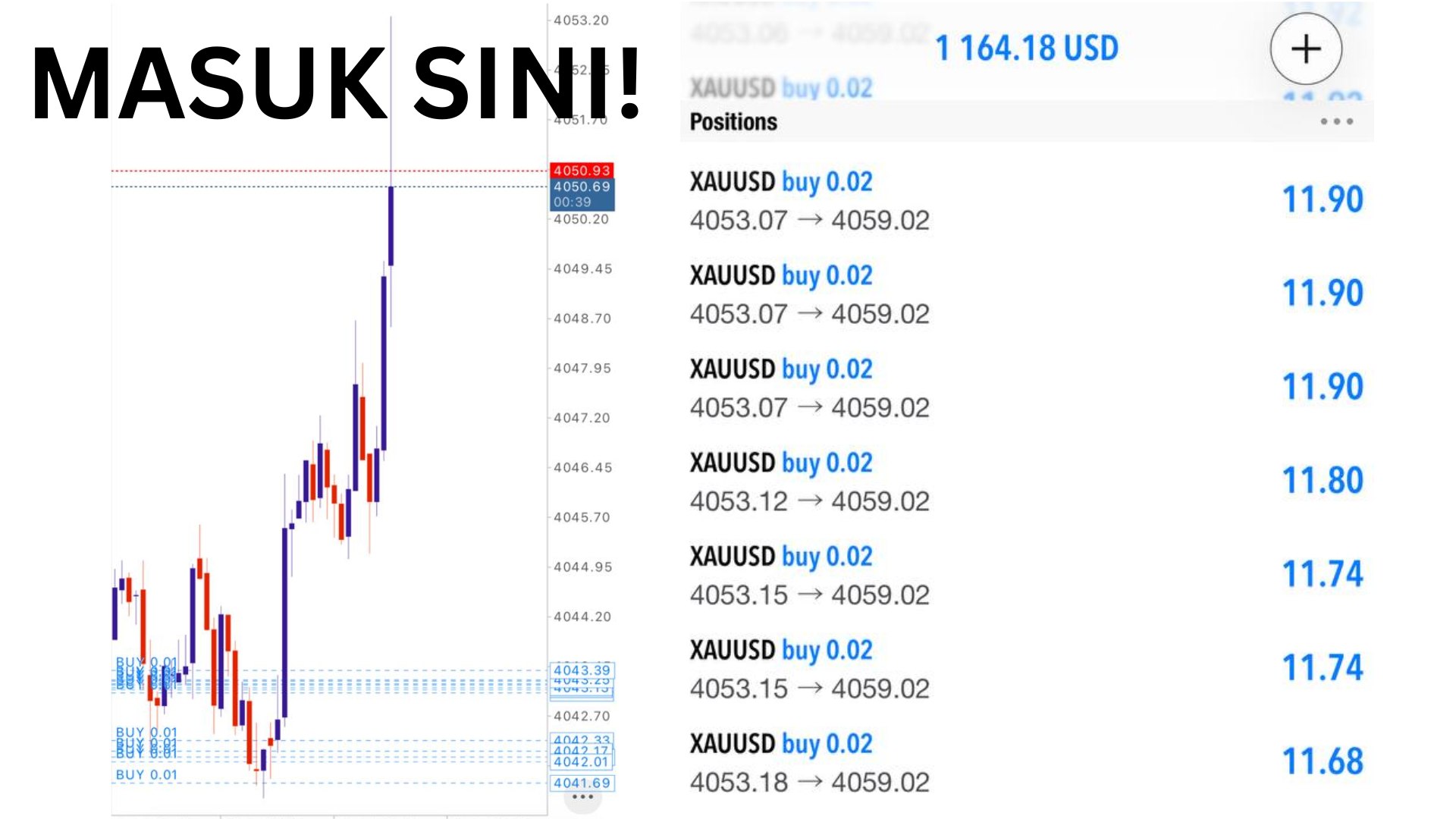 Along Gold Scalper
