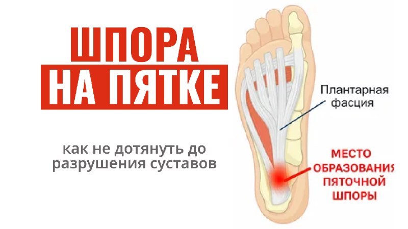 Урок про здоровье ног