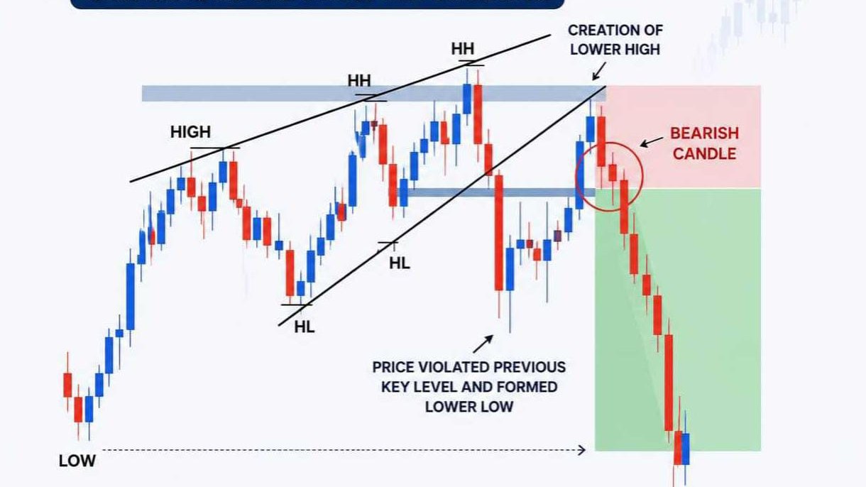 Forex Pro. Team