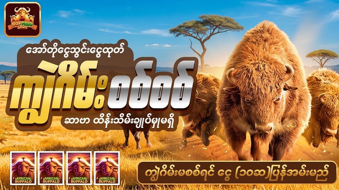 Burma African Buffalo