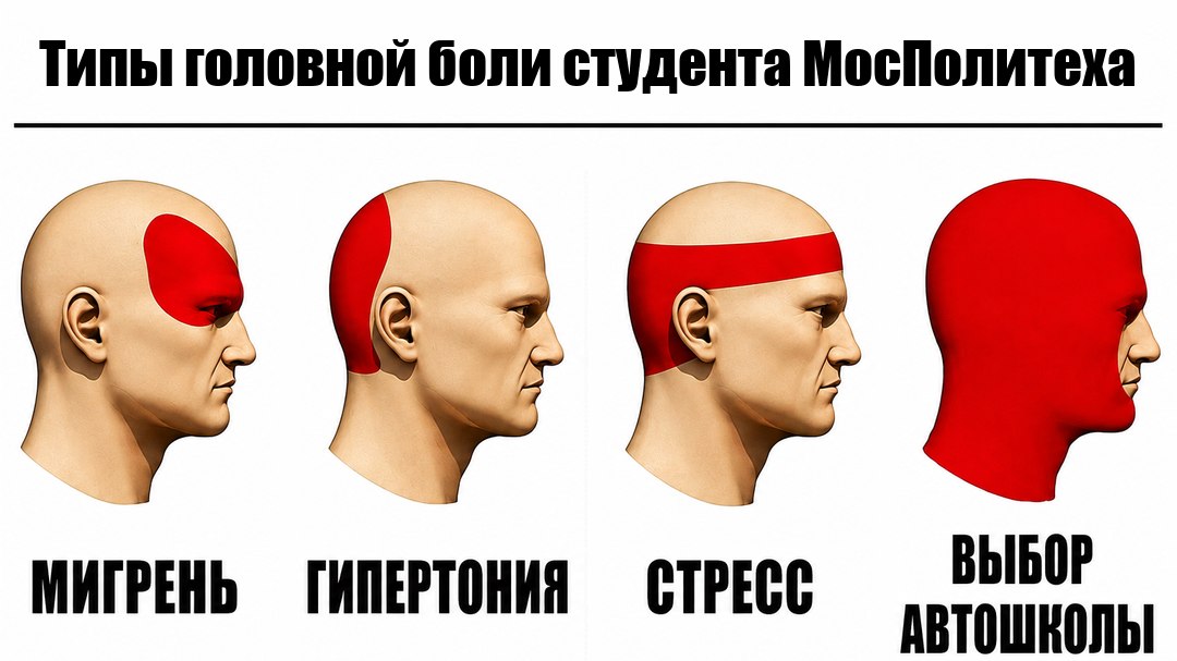 Автошкола для студентов Политеха