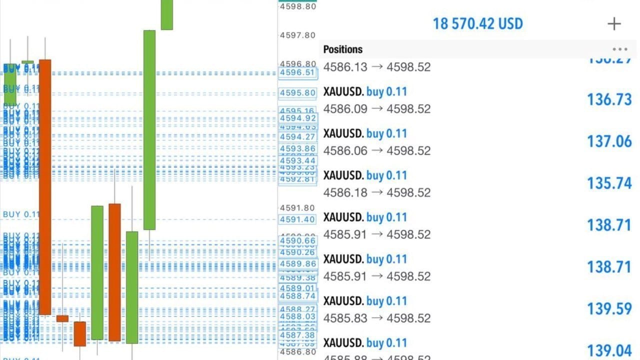 Sure Fx Pro Signals