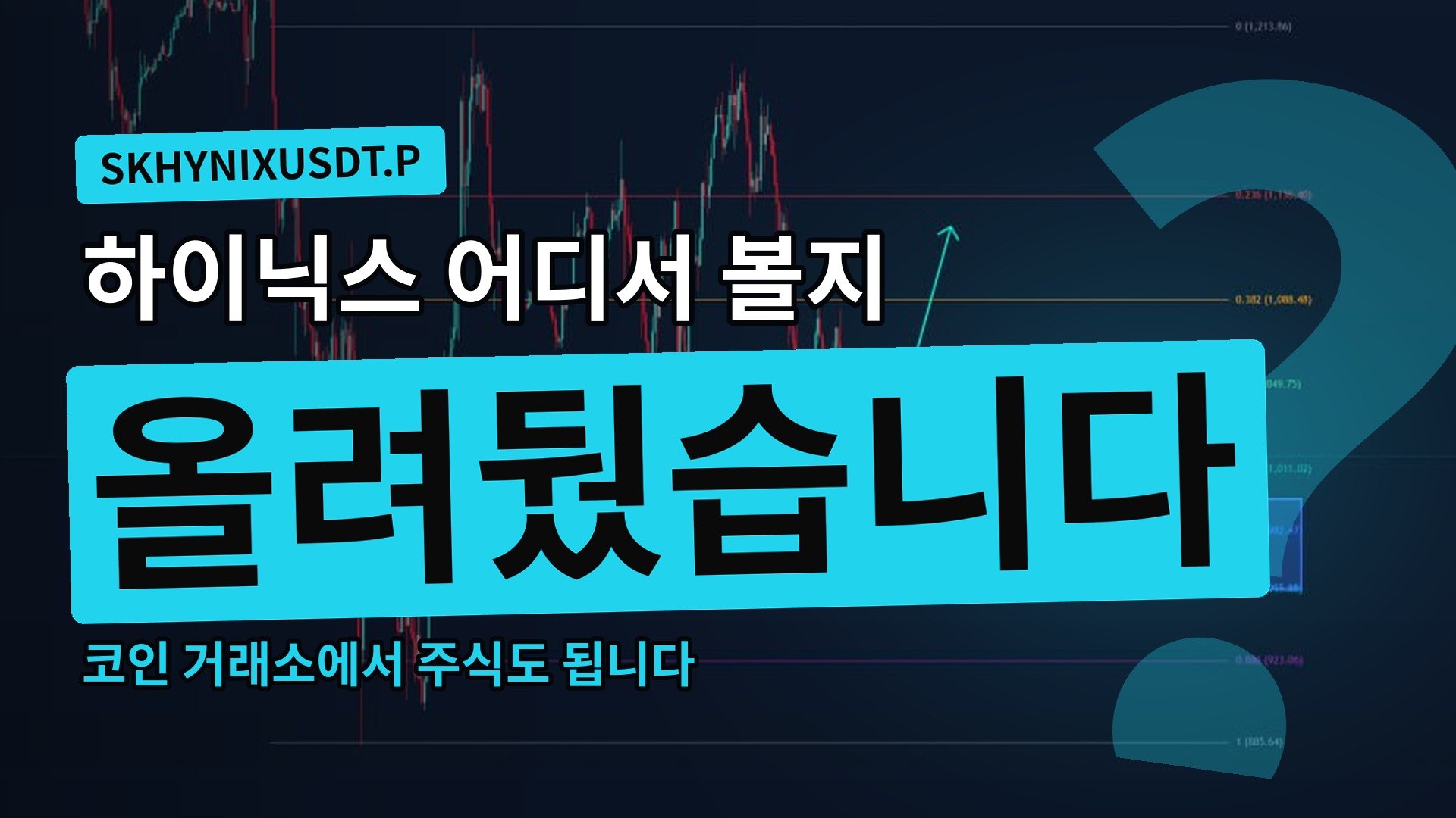 코바 인사이트
