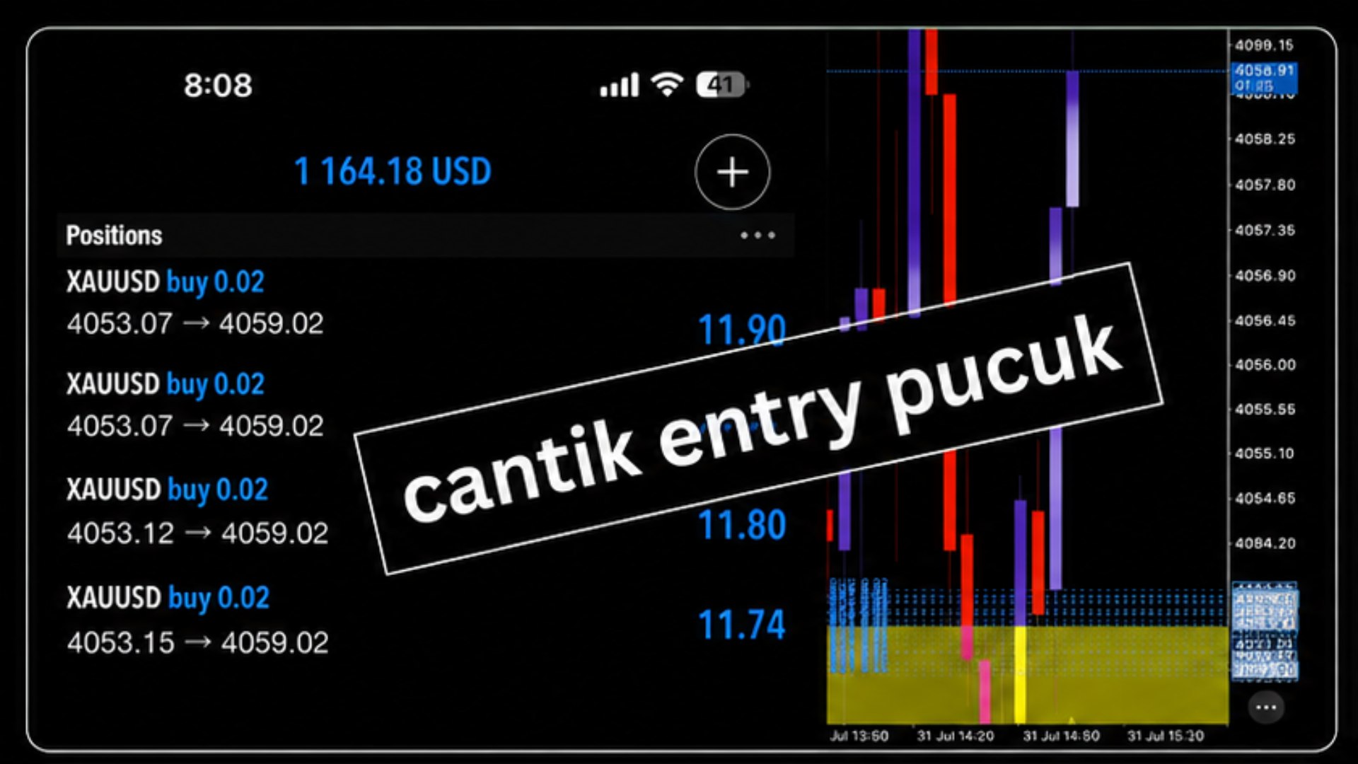 Along Gold Scalper