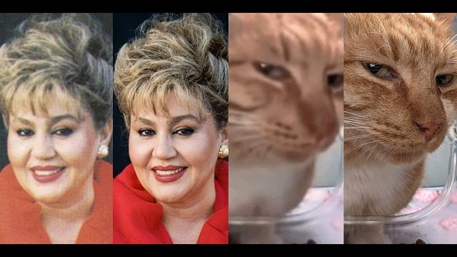 پرامپت آماده ساخت عکس و ویدیو متن