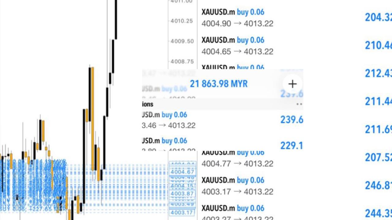 Duan Traders MYR