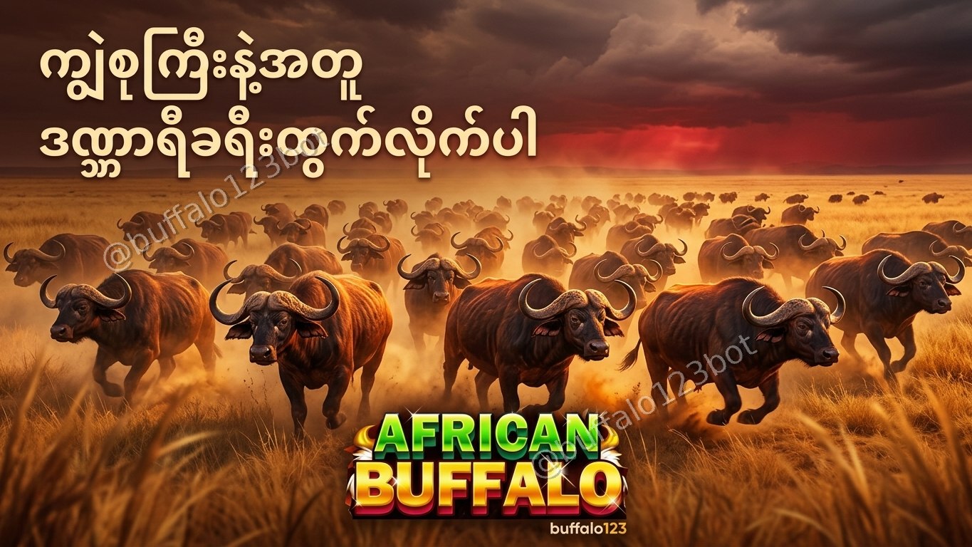 ကျွဲဂိမ်း Buffalo123 Official