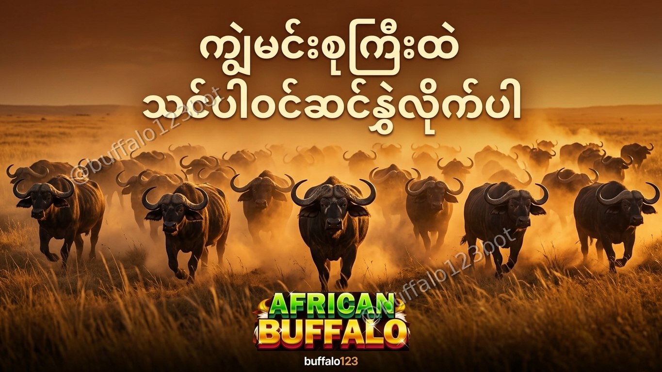 ကျွဲဂိမ်း Buffalo123 Official