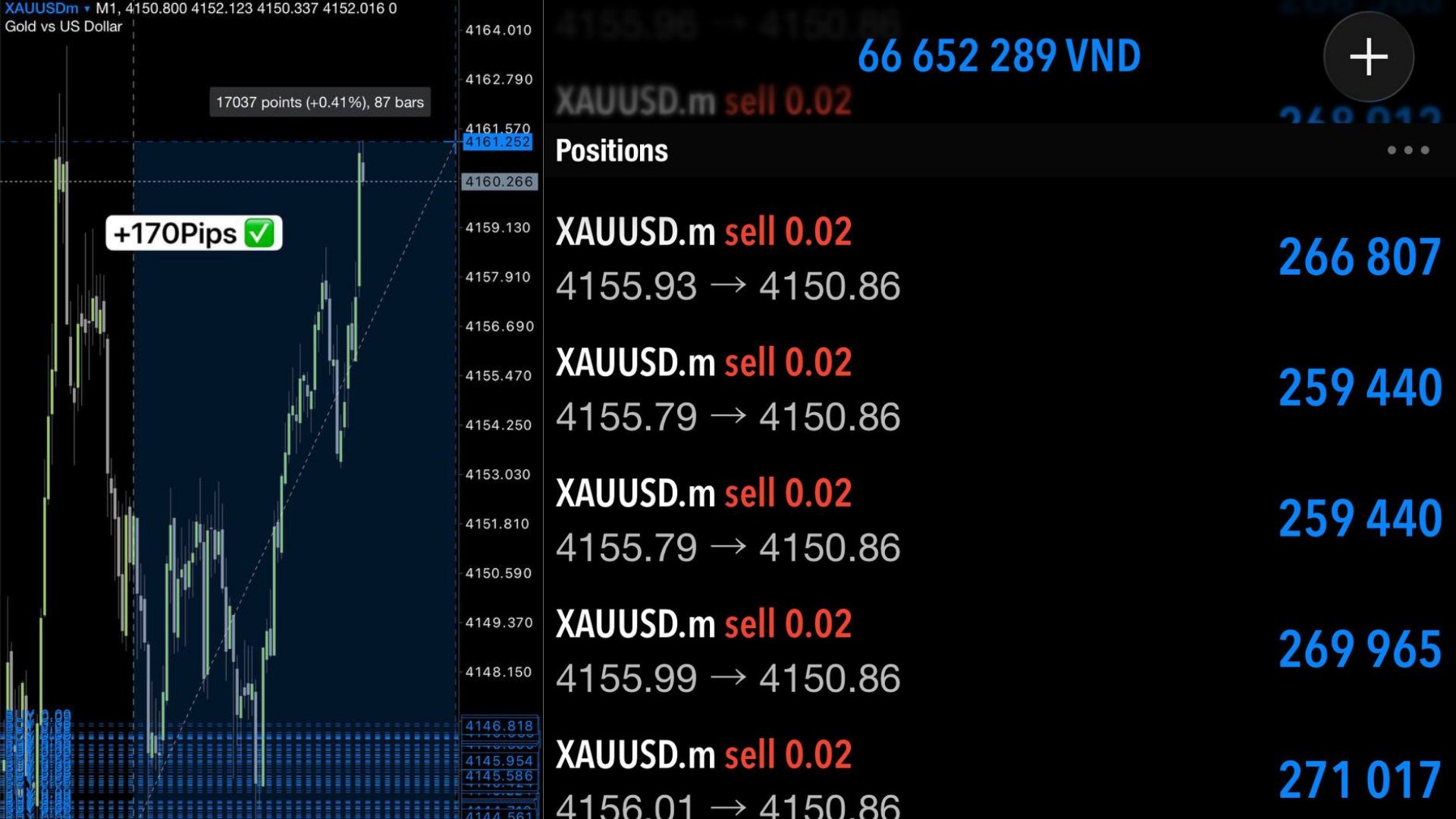 Super Scalper Gold